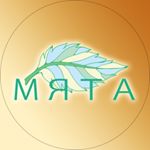 Мята